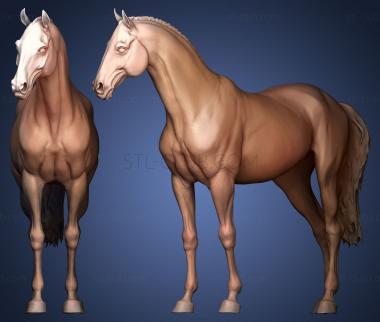 3D мадэль 3D скульптура лошади (STL)